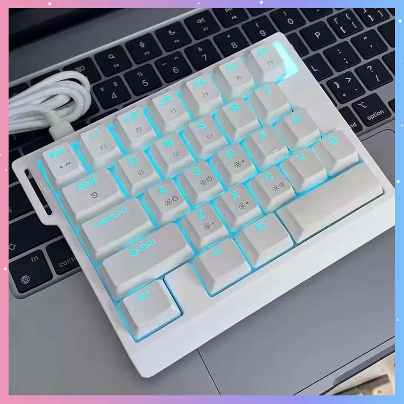 Gaming Keyboard Esports - HE30 기계식 게이밍 키보드 29키 마그네틱
